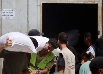 Gaza : l’Allemagne renforce son aide humanitaire face à une crise sans précédent