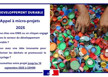 Guinée : l’Ambassade de France lance un appel à micro-projets pour un avenir plus durable