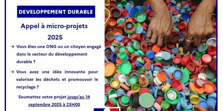 Guinée : l’Ambassade de France lance un appel à micro-projets pour un avenir plus durable