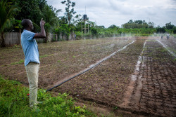 En route pour la 30ᵉ Conférence des Nations Unies sur le Climat (COP30) : le Groupe de la Banque africaine de développement pilote plusieurs instruments financiers pour soutenir les pays africains face au changement climatique