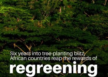 COP30 : Les forêts tropicales au cœur des solutions climatiques