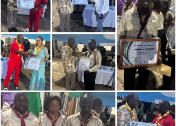 COP30 : Les forêts tropicales au cœur des solutions climatiques