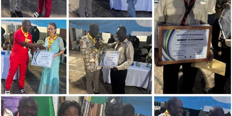 COP30 : Les forêts tropicales au cœur des solutions climatiques