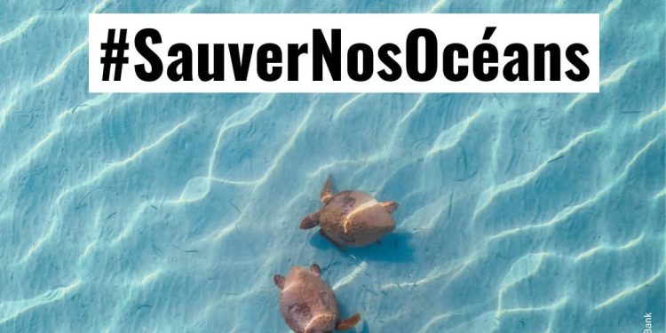 #SAUVERNOSOCÉANS : L’ACCORD BBNJ ENTRE EN VIGUEUR, UN TOURNANT HISTORIQUE POUR LA HAUTE MER