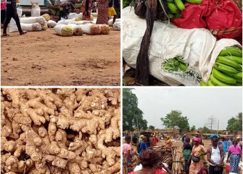 Samayah : un grand marché rural dynamique freiné par l’absence de route