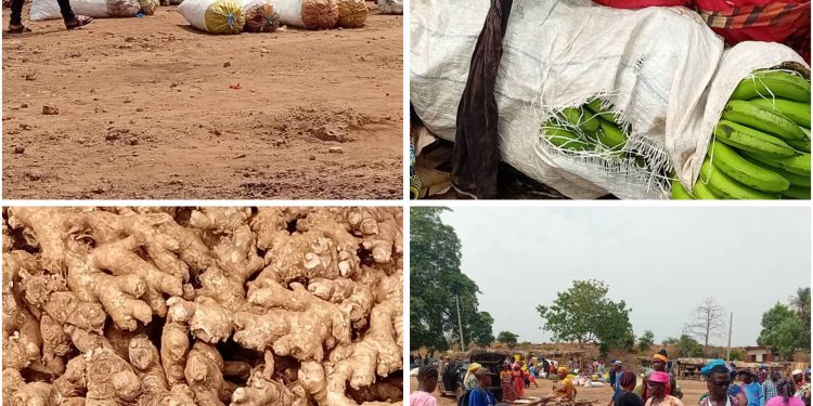 Samayah : un grand marché rural dynamique freiné par l’absence de route