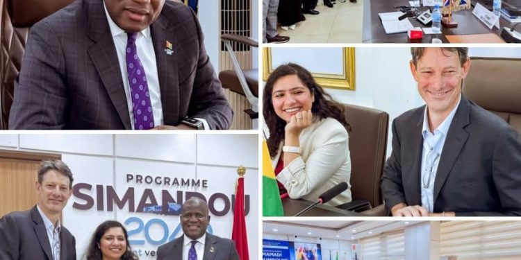 Guinée : l’offensive du développement quand la vision Simandou 2040 rencontre la puissance financière mondiale.