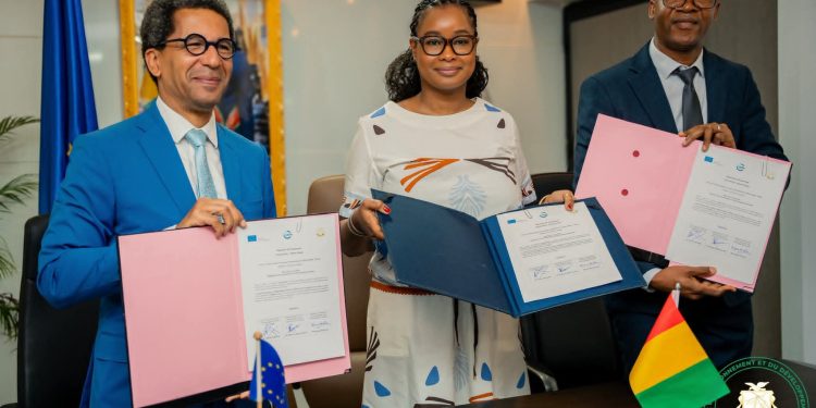 Monts Nimba–Diecké : un accord stratégique pour sauver un joyau écologique transfrontalier