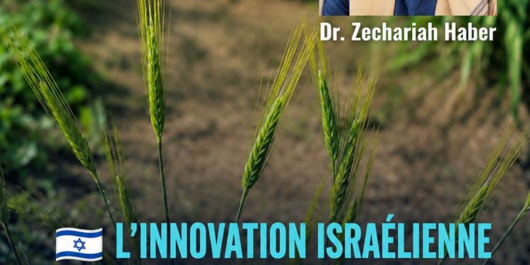 Israël : une découverte scientifique majeure ouvre de nouvelles perspectives pour la sécurité alimentaire mondiale