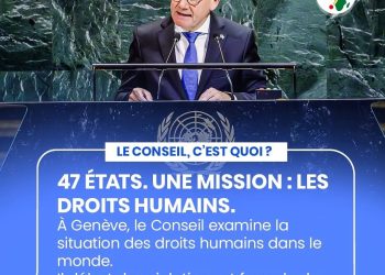 Droits humains : l’Allemagne candidate au Conseil des droits de l’homme de l’ONU pour 2027-2029